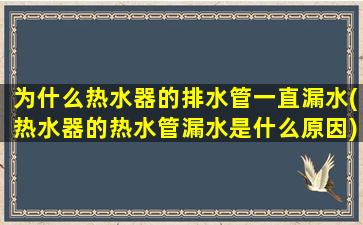 为什么热水器的排水管一直漏水(热水器的热水管漏水是什么原因)