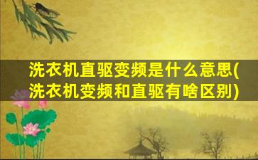 洗衣机直驱变频是什么意思(洗衣机变频和直驱有啥区别)