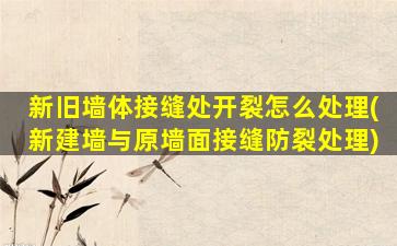 新旧墙体接缝处开裂怎么处理(新建墙与原墙面接缝防裂处理)