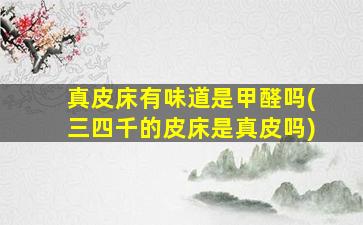 真皮床有味道是甲醛吗(三四千的皮床是真皮吗)
