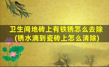 卫生间地砖上有铁锈怎么去除(锈水滴到瓷砖上怎么清除)