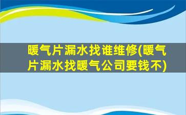 暖气片漏水找谁维修(暖气片漏水找暖气公司要钱不)