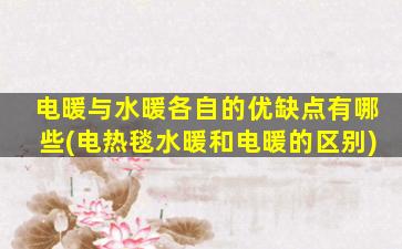 电暖与水暖各自的优缺点有哪些(电热毯水暖和电暖的区别)