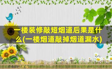 一楼装修敲短烟道后果是什么(一楼烟道敲掉烟道漏水)