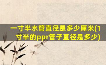 一寸半水管直径是多少厘米(1寸半的ppr管子直径是多少)