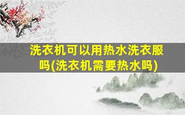洗衣机可以用热水洗衣服吗(洗衣机需要热水吗)