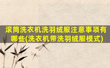 滚筒洗衣机洗羽绒服注意事项有哪些(洗衣机带洗羽绒服模式)