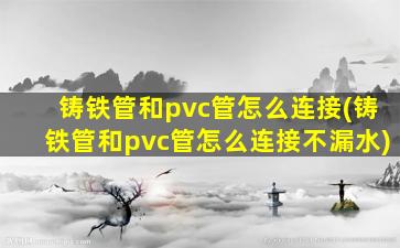 铸铁管和pvc管怎么连接(铸铁管和pvc管怎么连接不漏水)