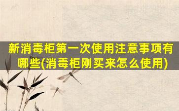 新消毒柜第一次使用注意事项有哪些(消毒柜刚买来怎么使用)