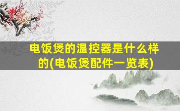 电饭煲的温控器是什么样的(电饭煲配件一览表)