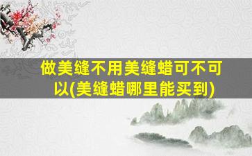 做美缝不用美缝蜡可不可以(美缝蜡哪里能买到)