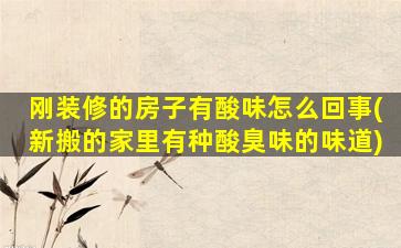 刚装修的房子有酸味怎么回事(新搬的家里有种酸臭味的味道)