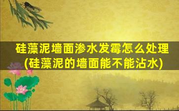 硅藻泥墙面渗水发霉怎么处理(硅藻泥的墙面能不能沾水)