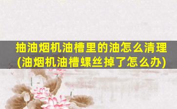 抽油烟机油槽里的油怎么清理(油烟机油槽螺丝掉了怎么办)