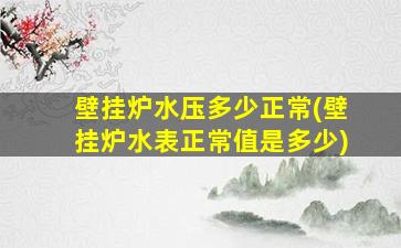 壁挂炉水压多少正常(壁挂炉水表正常值是多少)