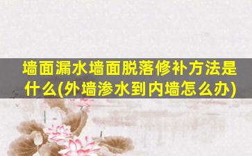 墙面漏水墙面脱落修补方法是什么(外墙渗水到内墙怎么办)