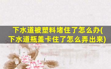 下水道被塑料堵住了怎么办(下水道瓶盖卡住了怎么弄出来)
