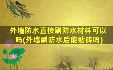 外墙防水直接刷防水材料可以吗(外墙刷防水后能贴砖吗)