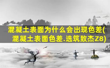 混凝土表面为什么会出现色差(混凝土表面色差.选筑致杰Z8)