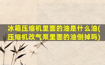 冰箱压缩机里面的油是什么油(压缩机改气泵里面的油倒掉吗)