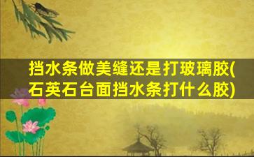 挡水条做美缝还是打玻璃胶(石英石台面挡水条打什么胶)