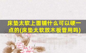 床垫太软上面铺什么可以硬一点的(床垫太软放木板管用吗)