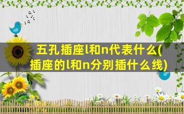 五孔插座l和n代表什么(插座的l和n分别插什么线)