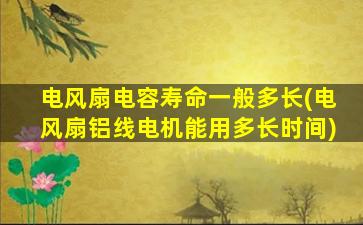 电风扇电容寿命一般多长(电风扇铝线电机能用多长时间)