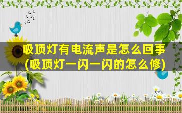 吸顶灯有电流声是怎么回事(吸顶灯一闪一闪的怎么修)