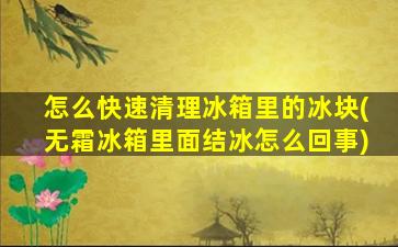怎么快速清理冰箱里的冰块(无霜冰箱里面结冰怎么回事)