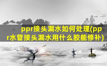 ppr接头漏水如何处理(ppr水管接头漏水用什么胶能修补)