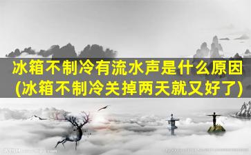 冰箱不制冷有流水声是什么原因(冰箱不制冷关掉两天就又好了)