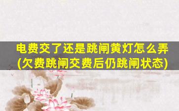 电费交了还是跳闸黄灯怎么弄(欠费跳闸交费后仍跳闸状态)