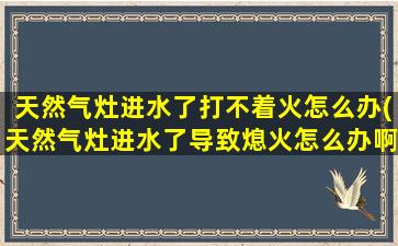 天然气灶进水了打不着火怎么办(天然气灶进水了导致熄火怎么办啊)