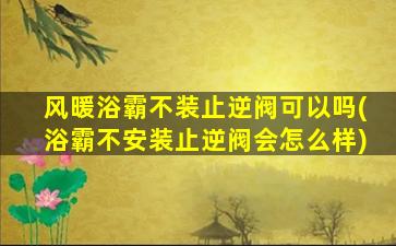 风暖浴霸不装止逆阀可以吗(浴霸不安装止逆阀会怎么样)