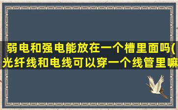 弱电和强电能放在一个槽里面吗(光纤线和电线可以穿一个线管里嘛)