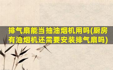 排气扇能当抽油烟机用吗(厨房有油烟机还需要安装排气扇吗)