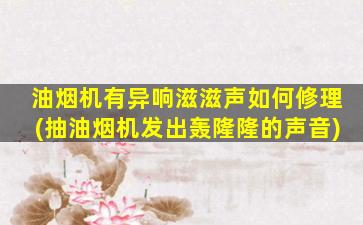 油烟机有异响滋滋声如何修理(抽油烟机发出轰隆隆的声音)
