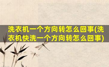 洗衣机一个方向转怎么回事(洗衣机快洗一个方向转怎么回事)