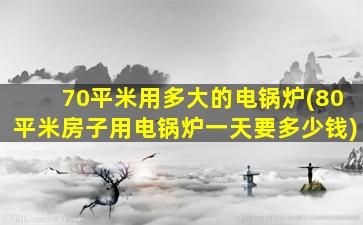 70平米用多大的电锅炉(80平米房子用电锅炉一天要多少钱)