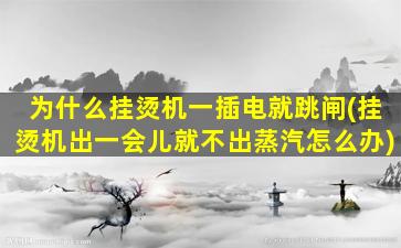 为什么挂烫机一插电就跳闸(挂烫机出一会儿就不出蒸汽怎么办)