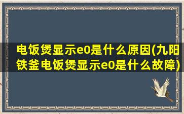 电饭煲显示e0是什么原因(九阳铁釜电饭煲显示e0是什么故障)