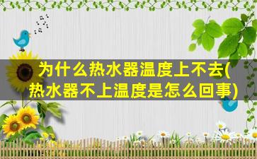 为什么热水器温度上不去(热水器不上温度是怎么回事)