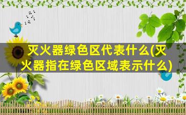 灭火器绿色区代表什么(灭火器指在绿色区域表示什么)