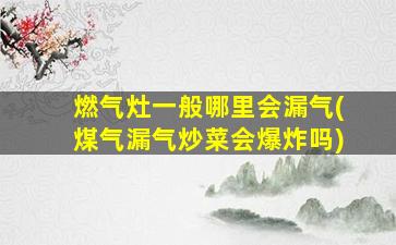 燃气灶一般哪里会漏气(煤气漏气炒菜会爆炸吗)