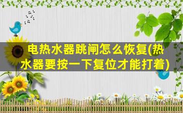 电热水器跳闸怎么恢复(热水器要按一下复位才能打着)