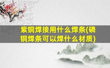 紫铜焊接用什么焊条(磷铜焊条可以焊什么材质)