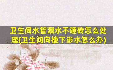卫生间水管漏水不砸砖怎么处理(卫生间向楼下渗水怎么办)