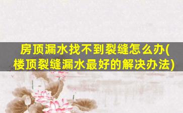 房顶漏水找不到裂缝怎么办(楼顶裂缝漏水最好的解决办法)