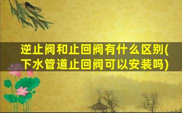 逆止阀和止回阀有什么区别(下水管道止回阀可以安装吗)